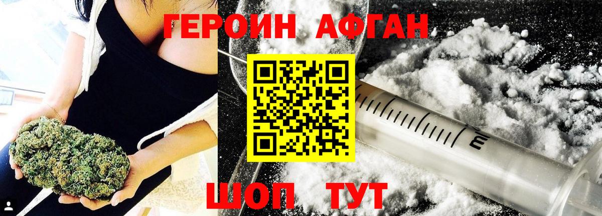 ГЕРОИН хмурый Балтийск