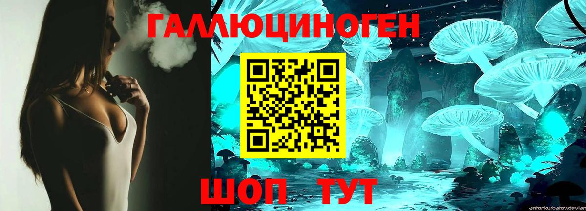 Галлюциногенные грибы Cubensis Балтийск